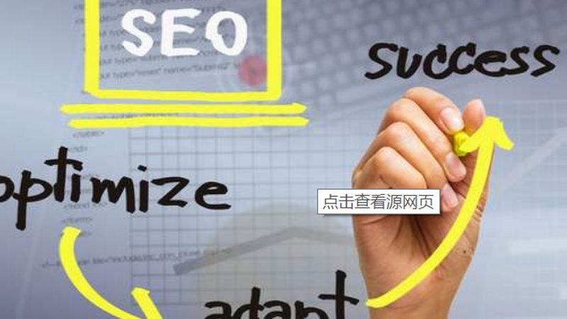 网站推广与SEO：一场精准与广泛的较量